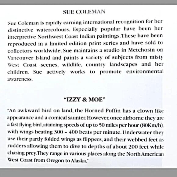 Sue Coleman ''Izzy & Moe'' Puffins Contemporary Pacific Northwest Framed Art - Picture 4 of 4